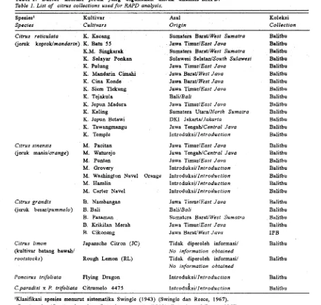 Tabel 1. Daftar koleksi jeruk yang digunakan untuk analisis RAPD. 
