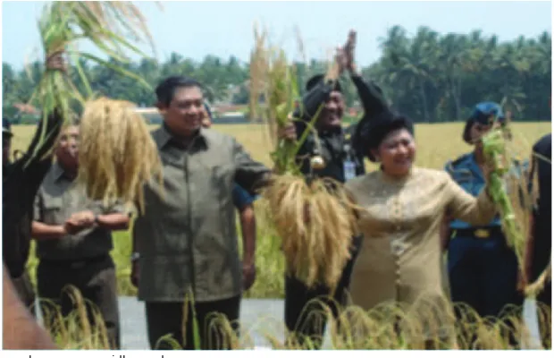 Gambar 3.4 Presiden Susilo Bambang Yudoyono panen raya di Purworejo