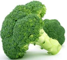 Gambar II.8 Sayuran Brokoli florets 