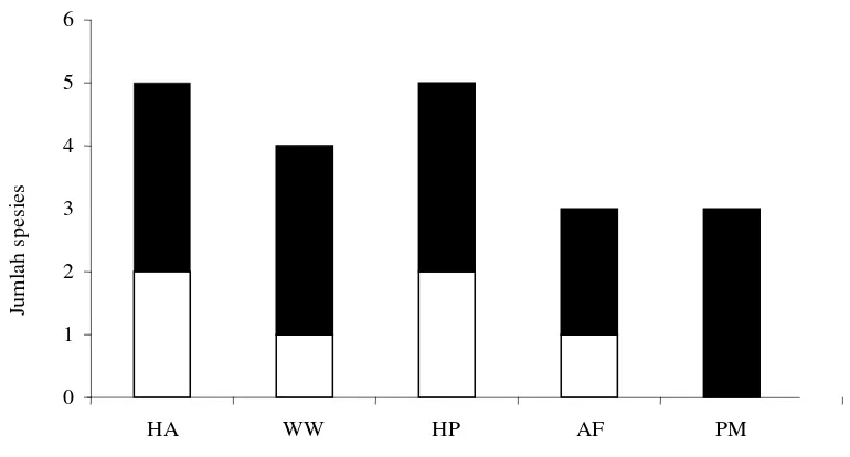 Gambar 14  Perbandingan antara kelompok rayap pemakan kayu (  ) dengan pemakan tanah (   ) pada lima tipe penggunaan lahan yang berbeda di Gunung Slamet bagian Timur