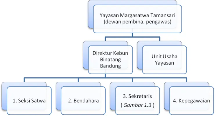 Gambar 1.2. Struktur divisi utama Kebun Binatang Bandung 