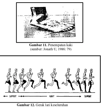 Gambar 12. Gerak lari keseluruhan (sumber: IAAF Run! Jump! Throw!, 2009: 13) 