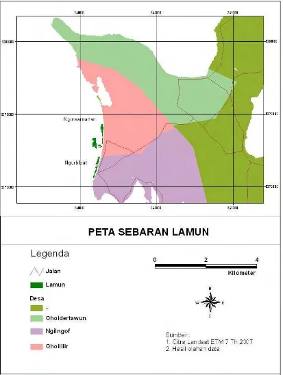 Gambar 14  Peta sebaran lamun di Nuhuroa. 