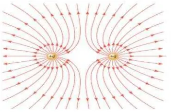 Gambar 3. Garis Medan Listrik Muatan SejenisSumber: Johnson dan Cutnell (2012: 547)