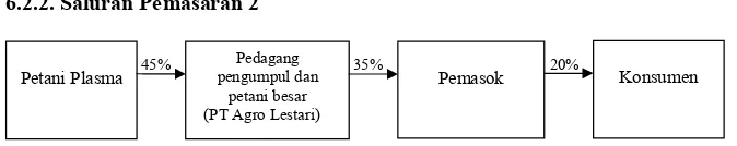 Gambar�5.�Saluran�Dua�Pemasaran�Sayuran�Organik�di�PT.�Agro�Lestari�