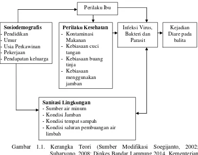 Gambar 1.1. Kerangka Teori (Sumber Modifikasi Soegijanto, 2002; Suharyono, 2008; Dinkes Bandar Lampung 2014, Kementerian Kesehatan Republik Indonesia, 2014; Notoatmojo,2003) 