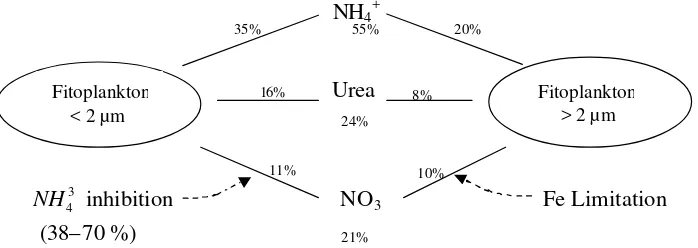 Gambar 3. Penyerapan dari tiga sumber nitrogen (NH4, Urea, NO3) oleh dua                     ukuran fitoplankton yang berbeda (Varela 1997; Varela dan                     Harrison  1999 in Harrison et al