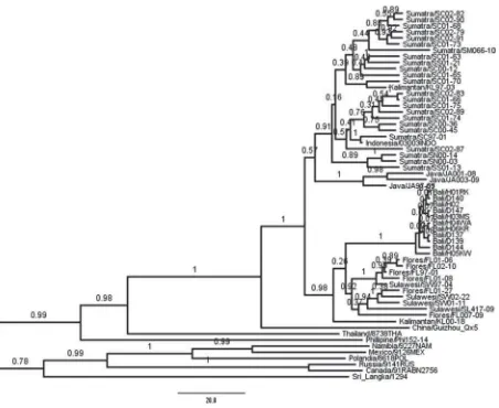 Fig. 1. The maximum clade credibility phylogeny for nucleoprotein gene fragment of rabies virus from the outbreak inthat are available in GenBank