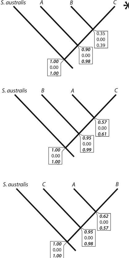 Fig. 6 Maximum clade credibility species tree determinedfrom 255,000 post burn-in topologies from *BEAST