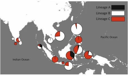 Fig. 8 Distribution of cryptic lineages throughout sampling range. Size of pie diagrams corresponds to sample size from that locality