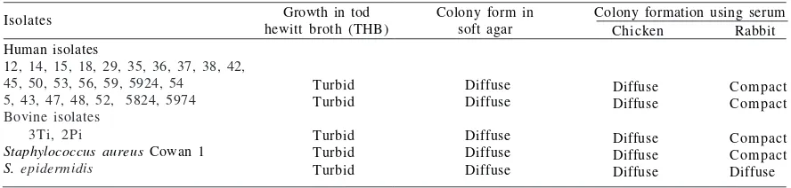 Table 1  The use of soft-agar and serum soft-agar techniques to detect the presence of protein A in Staphylococcus aureus isolates