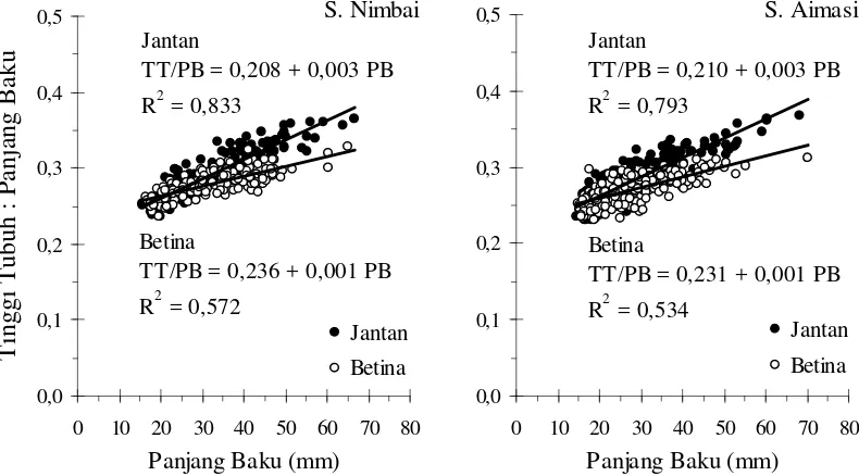 Gambar 17. Perbandingan tinggi tubuh terhadap panjang baku individu jantan danbetina ikan pelangi arfak di S