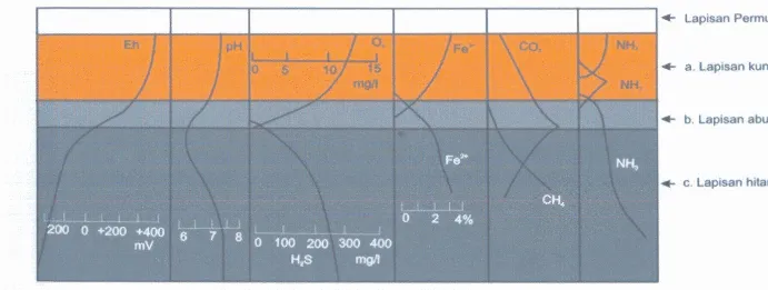 Gambar 2. Skema kondisi sediment dasar perairan estuaria di sekiiar lapisan redox potential discontinuity (RPD) (Fenchel & Riedle, 1970) 