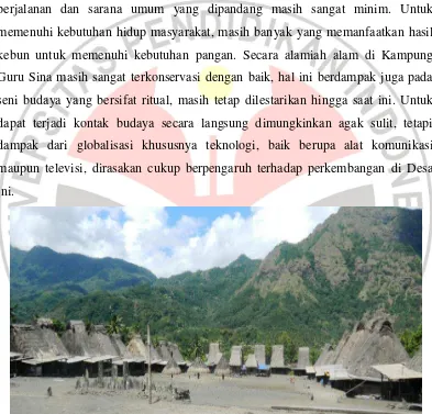 Gambar 3. 1. Kampung Adat Guru Sina, terdapat di desa Watumanu Kecamatan Jerebuu, Kabupaten Ngada NTT