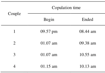 Table 2 Total number of egg produced by A. atlas couple