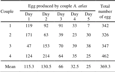 Table 1 Copulation time of A. atlas 