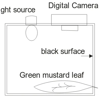 Figure 4. RGB and HSV leaf color 