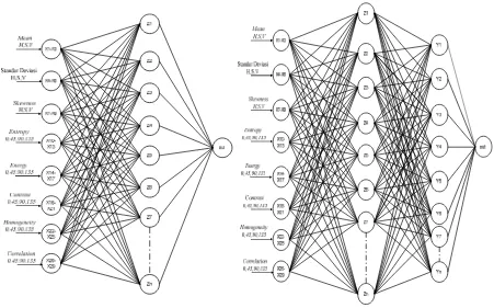 Figure 7. Architecture of backpropagation neural network 