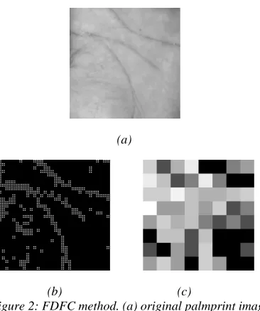 Figure 2: FDFC method. (a) original palmprint image, (b) binary palmprint image, (c) palmprint feature representation 