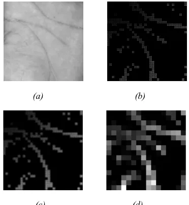 Figure 4: DIFC method. (a) original palmprint image, (c)                                      (d) (b) distance image, (c) filtered image, and (d) palmprint feature representation 