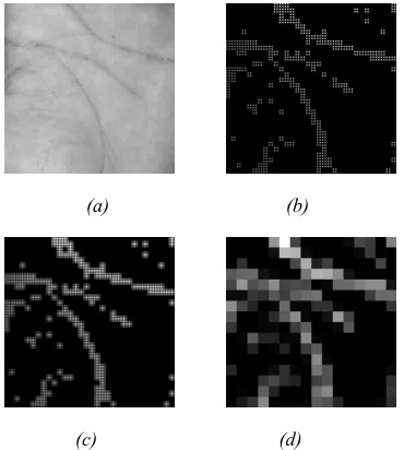 Figure 5: AIFC method. (a) original palmprint image, (b) angle image, (c) filtered image, and (d) palmprint feature representation 