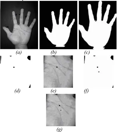 Figure 1: Extraction of palmprint, (a) original image, (b) binary image of (a), (c) object bounded, (d) and (e) position of the first centroid mass in segmented binary and gray level image, respectively, (f) and (g) position of the second centroid mass in 