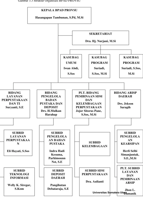 Gambar 3.3 Struktur Organisasi BPAD PROVSU 