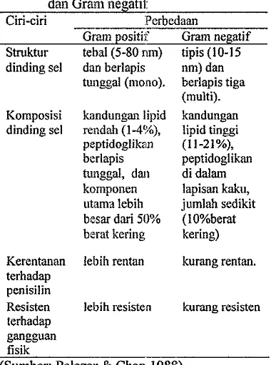 Tabel 2 Perbedaan antara bakteri Gram positif dan Gram negatif 