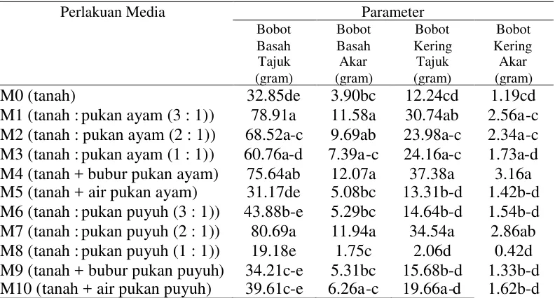 Tabel 17. Pengaruh Perlakuan Media terhadap Bobot Basah Tajuk-Akardan Bobot Kering Tajuk-Akar Jarak Pagar di Tempat Terbuka