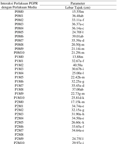 Tabel 27. Pengaruh Interaksi Perlakuan PGPR dan Perlakuan MediaTanam terhadap Lebar Tajuk Jarak Pagar Umur 8 MST diTempat Ternaungi