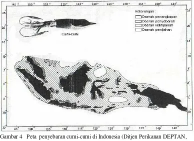 Gambar 4   Peta  penyebaran cumi-cumi di Indonesia (Ditjen Perikanan DEPTAN,   