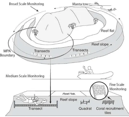 Gambar 6. Metode pemantauan terhadap terumbu karang (Hill dan Wilkinson, 