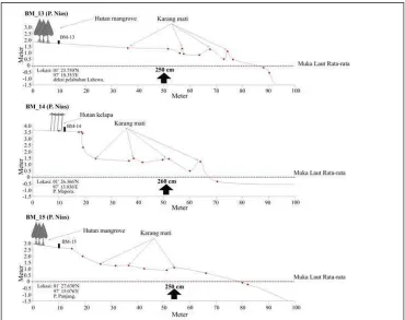 Gambar 11. Profil morfologi pantai yang dibuat melalui BM13, BM14, dan BM15 di Pulau Nias