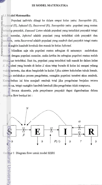 Gambar 1 Diagram flow untuk model SEIRI 