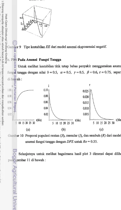 Gambar 9 Tipe kestabilan EE dari model asumsi eksponensial negatif. 