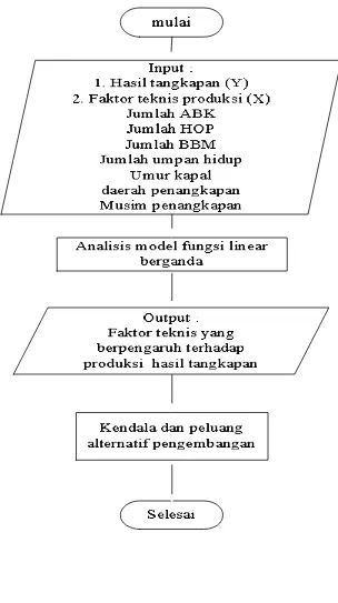 Gambar 4. Diagram alir analisis model fungsi peroduksi 
