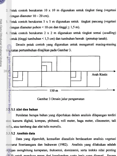 Gambar 3 Desain jalur pengamatan 