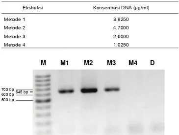 Tabel 4 Hasil pengukuran konsentrasi DNA yang diperoleh dengan empat metode ekstraksi DNA 