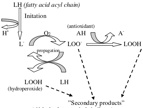 Gambar 4. Skema autooksidasi asam lemak tak jenuh Sumber: Pigott & Tucker (1999) 