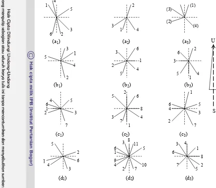 Gambar 7. Proyeksi posisi cabang jarak pagar yang tanpa pangkas (a1, a2, a3),  T20 (bb, b), T30 (c, c, c), T40 (d, d, d)