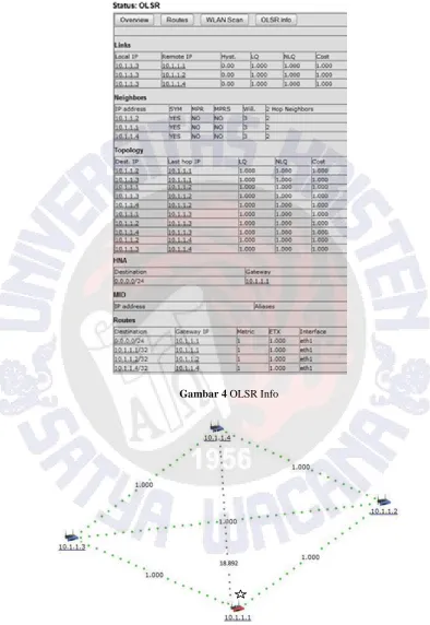 Gambar 4 OLSR Info 