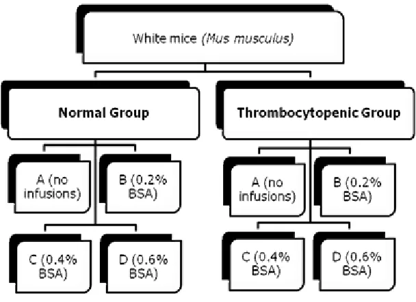 Figure 2. Experimental Setup 