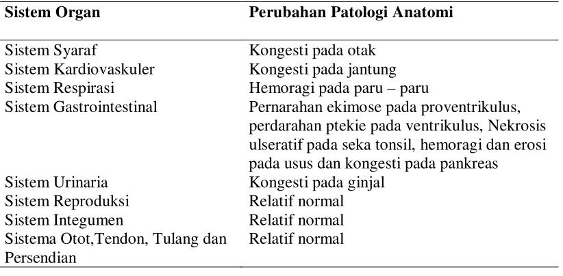 Tabel 4.1. Data Epidemiologi ayam buras 