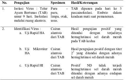 Tabel 4.3. Hasil Isolasi dan Identifikasi virus 