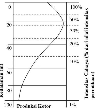 Gambar 2. Struktur Vertikal Klorofil-a pada Lapisan Permukaan dan pada Tiap Tingkatan Kolom Air yang Berbeda (Nybakken 1992) 