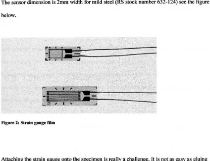 Figure 2: Strain gauge nlm 