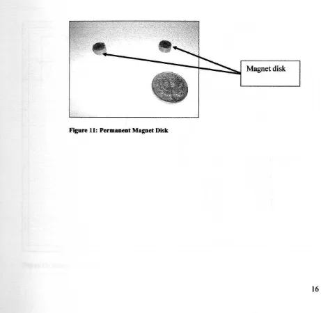 Figure 11: Permanent Magnet Disk 