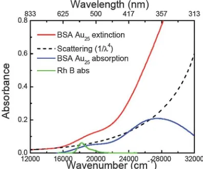 Fig. 1Extinction spectrum of the synthesized BSA Auscattering function (black dashed line) extrapolated from the long wavelengthspectrum of BSA Autering function from the extinction spectrum of BSA Au25 clusters (red line),25 clusters, corrected absorption after subtracting the scat-25 clusters (blue line) andrhodamine B absorption (green line).