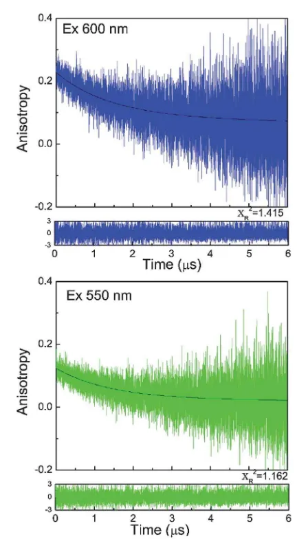 Fig. 7Fluorescence anisotropy decays of BSA Au22lower panel: excitation at 550 nm and emission observation at 700 nm