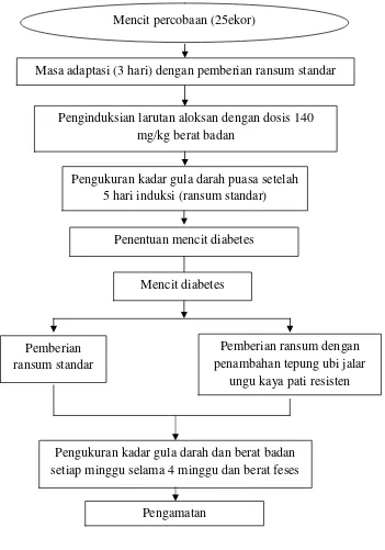 Gambar 6. Diagram alir pengujian mencit diabetes